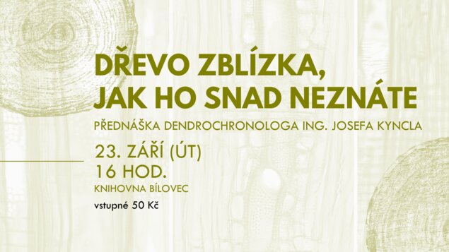 Dřevo zblízka, jak ho snad neznáte