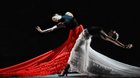 Flamenco Hoy de Carlos Saura