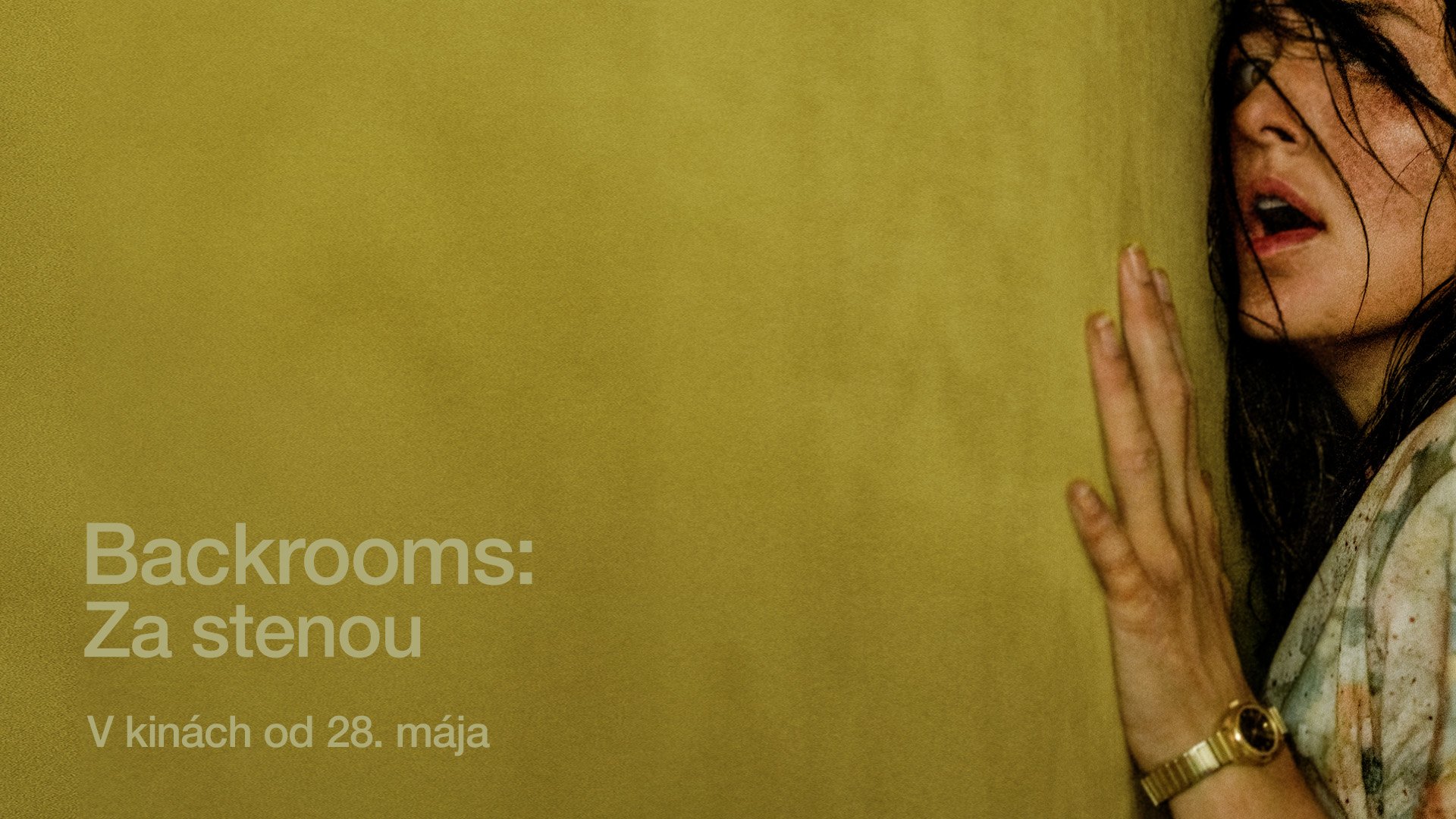 BACKROOMS: ZA STENOU 