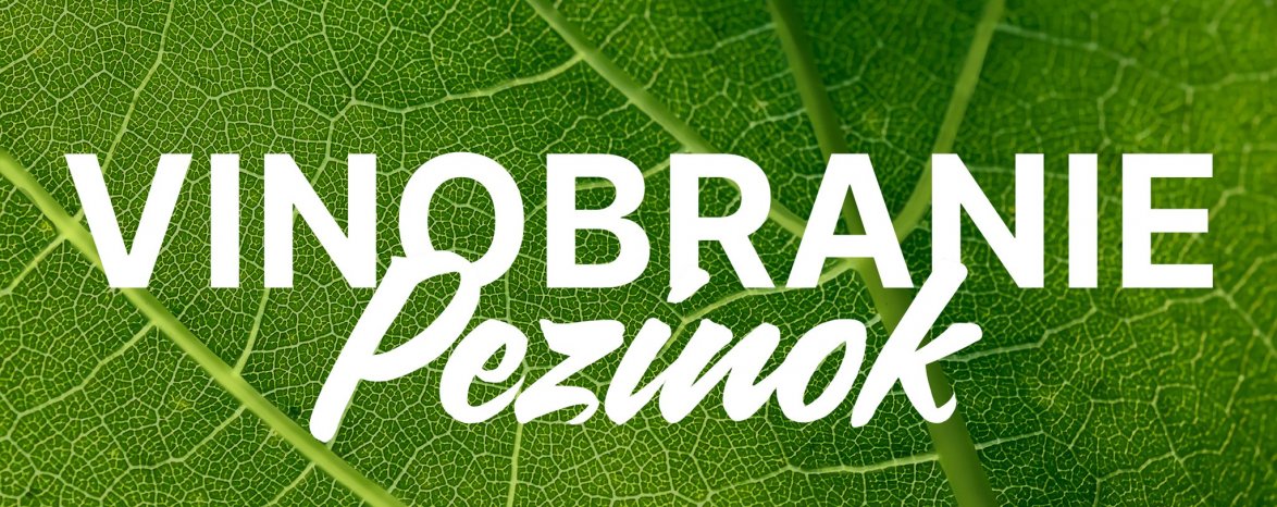 Vinobranie Pezinok 2025