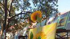 MINI ART FEST