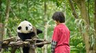 Panda a ja