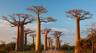 Madagaskar - cestovatelská diashow Martina Loewa