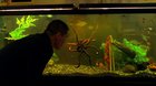Oldboy2