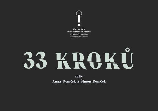 33 kroků