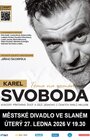 KAREL SVOBODA, TÉMA NA ROMÁN