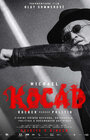Michael Kocáb – rocker versus politik