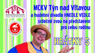 HRÁTKY S TOMEM