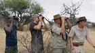 Safari