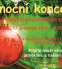 Vánoční koncert ZUŠ Sokolov, pobočka Březová 2019