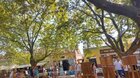 MINI ART FEST