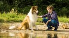 Lassie se vrací