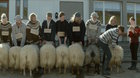 Barani