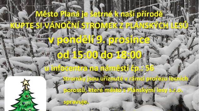 PRODEJ VÁNOČNÍCH STROMKŮ Z PLÁNSKÝCH LESŮ