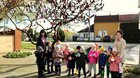 FOTO: ZDOBENIE KARSLICOVÉHO STROMU - TOJÁSFADÍSZÍTÉS