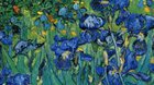 Vincent van Gogh – Nový způsob vidění