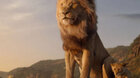 Film: Mufasa: Lví král