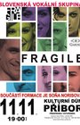 Koncert skupiny Fragile