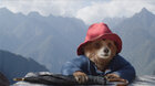 Paddington v džungli