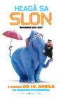 Hľadá sa slon