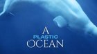 A Plastic Ocean - Kino Prostor