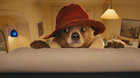 Paddington