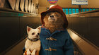Paddington