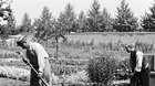 BRATŘI LUMIÉROVÉ | kinaspolu online