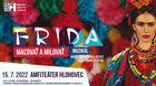 FRIDA - Maľovať a milovať 
