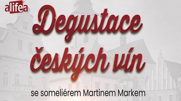 Degustace českých vín se someliérem Martinem Markem