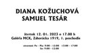 DIANA KOŽUCHOVÁ, SAMUEL TESÁR - vernisáž výstavy