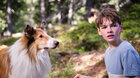 Film: Lassie: Nové dobrodružství