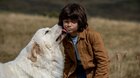 Bella a Sebastian: Nová generácia
