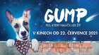 Gump – pes, který naučil lidi žít