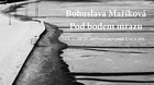 Bohuslava Maříková - Pod bodem mrazu