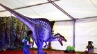 Cestování s dinosauřími mláďaty