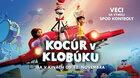 KOCÚR V KLOBÚKU