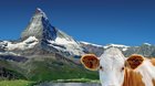 ŠVÝCARSKO - velká cesta srdcem Alp cestovatelská diashow Martina Loewa