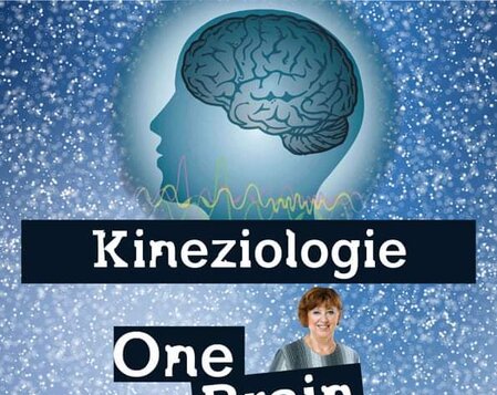Kineziologie - One brain