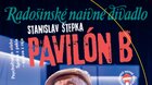 Pavilón B - Radošinské naivné divadlo 