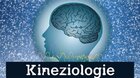 Kineziologie - One brain