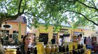 FOTO: Dotyky s levanduľou 19.06.2022
