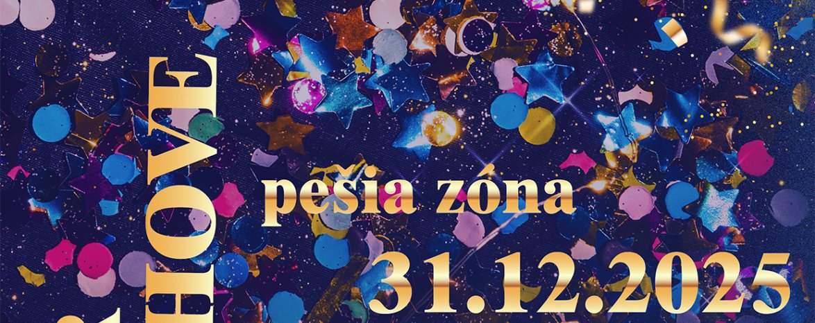 SILVESTER V PÚCHOVE 