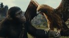 Království Planeta opic - Letní kino