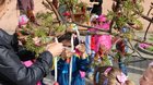 FOTO: Zdobenie kraslicového stromu 10.04.2017