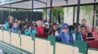 FOTO: Zdobenie kraslicového stromu 10.04.2017