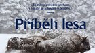 Príbeh lesa