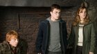 Harry Potter a Fénixov rád