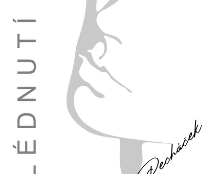 JIŘÍ PECHÁČEK – OHLÉDNUTÍ