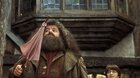 Harry Potter a Kameň mudrcov